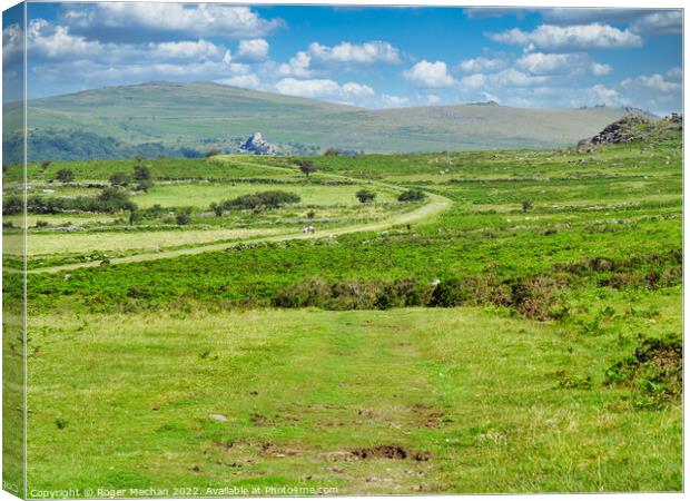 A Serpentine Track Through Dartmoor's Wild Beauty Canvas Print by Roger Mechan