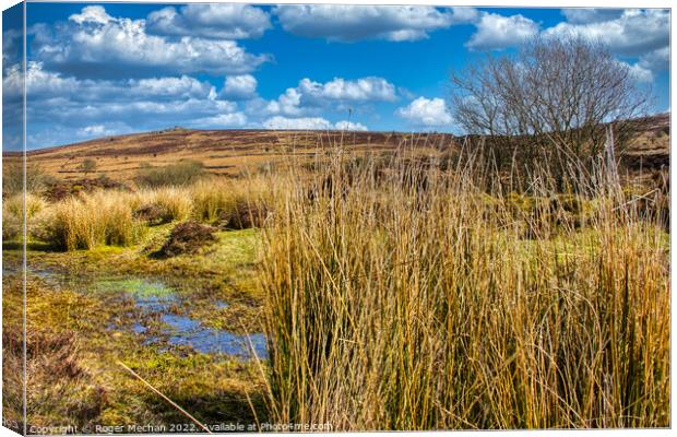 Dartmoor bogs and wild moorland Canvas Print by Roger Mechan