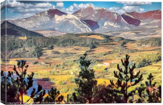Alpine Beauty Canvas Print by Roger Mechan