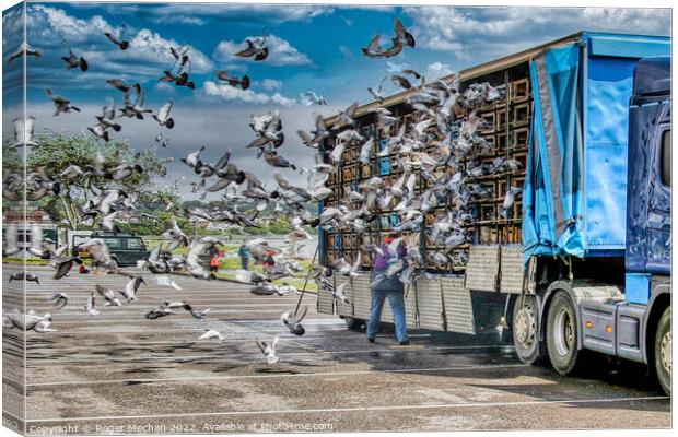 The Great Pigeon Migration Canvas Print by Roger Mechan