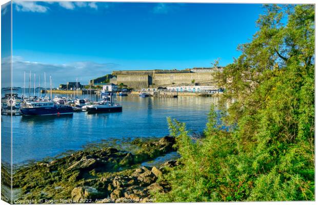 Peaceful Harbour Scene Canvas Print by Roger Mechan