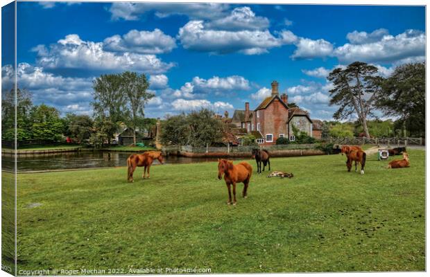 Serene Ponies on Beaulieu Common Canvas Print by Roger Mechan