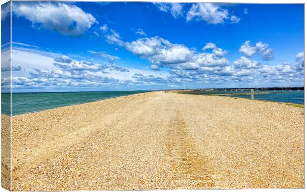 Serenity in Solent Canvas Print by Roger Mechan