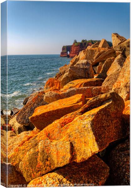 Radiant Sunset over Lichen-Covered Rocks Canvas Print by Roger Mechan