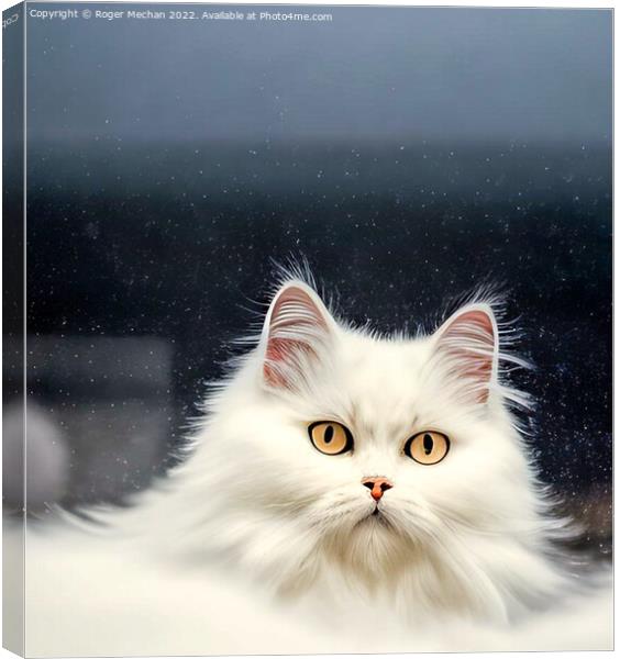 Blooming White Persian Cat Canvas Print by Roger Mechan