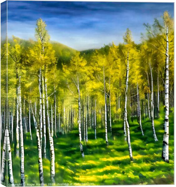 Silver Birch Forest in Autumn Canvas Print by Roger Mechan