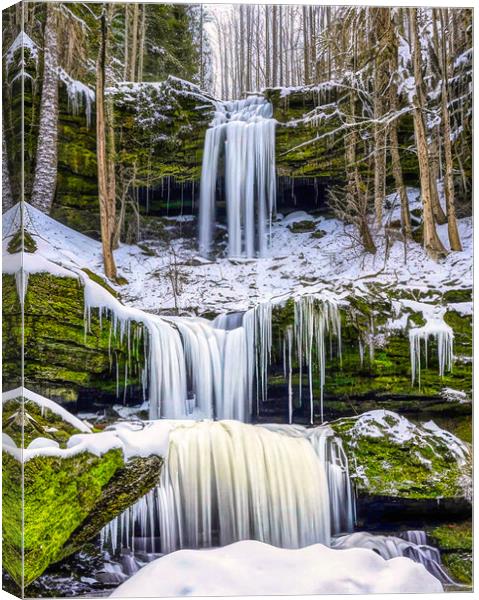 Tranquil Winter Waterfalls Canvas Print by Roger Mechan