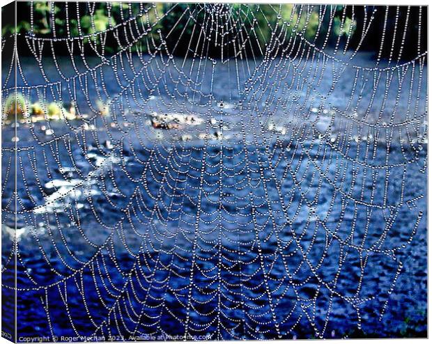 Dew covered spider's web Canvas Print by Roger Mechan