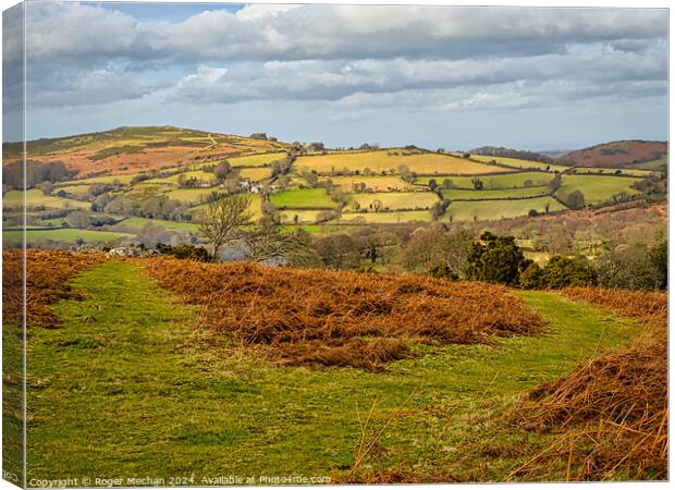 Dartmoor trails Canvas Print by Roger Mechan