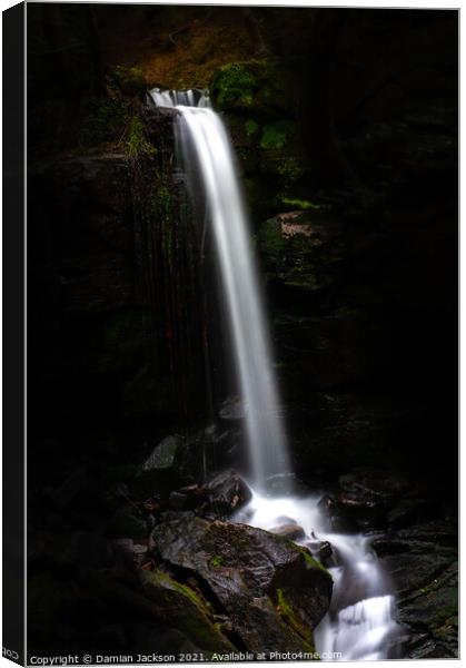 Lumsdale Fall Canvas Print by Damian Jackson