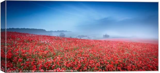 misty poppies  Canvas Print by chris pearce