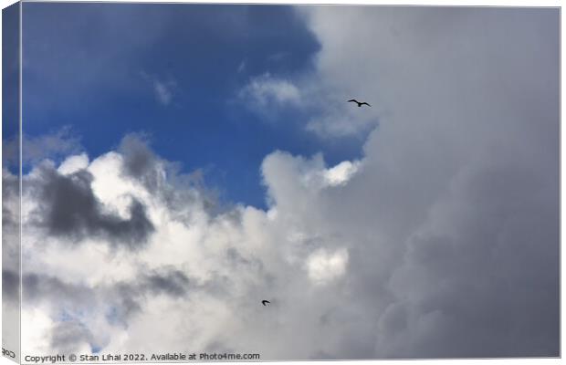 Seagulls in rainy sky Canvas Print by Stan Lihai