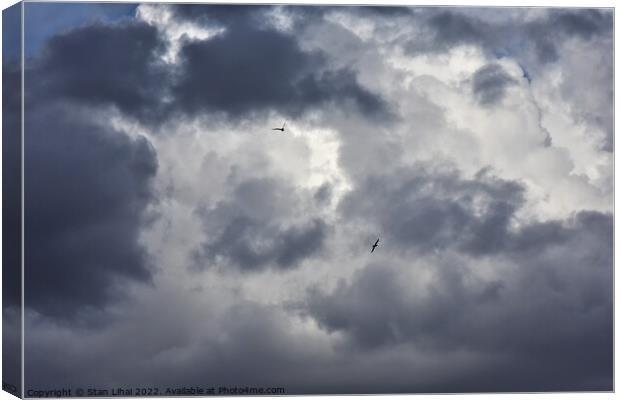 Seagulls in dramatic sky Canvas Print by Stan Lihai