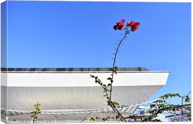 Flowers against blu sky Canvas Print by Stan Lihai