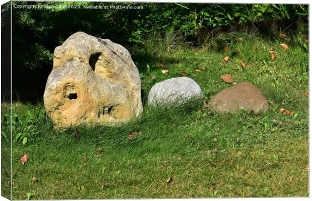 Smooth stones on green grass in sunny summer day Canvas Print by Stan Lihai