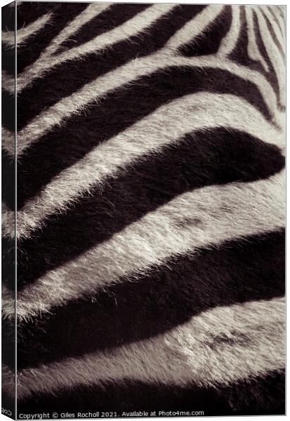 Zebra skin fur Canvas Print by Giles Rocholl