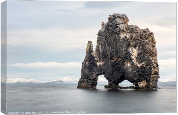 Hvítserkur sea stack Iceland  Canvas Print by Giles Rocholl