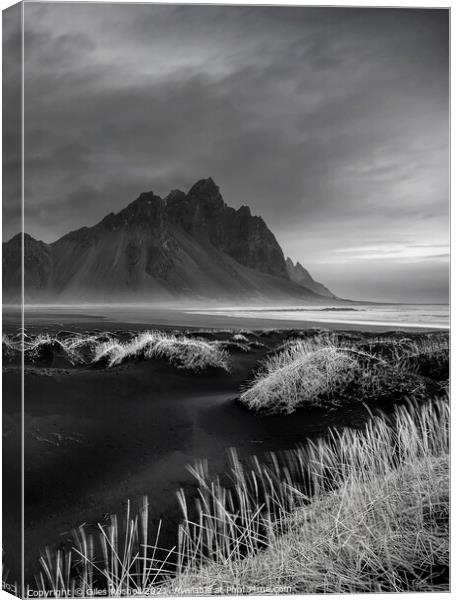 Vestrahorn black dunes Iceland Canvas Print by Giles Rocholl