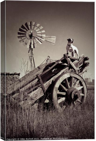 Vintage wagon windmill and dog Canvas Print by Giles Rocholl