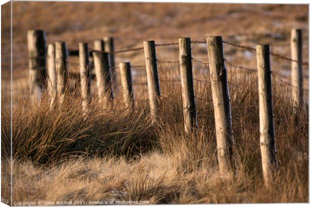 Winter sun abstract fencing Yorkshire Canvas Print by Giles Rocholl