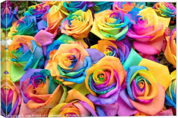 Colourful bunch of roses Canvas Print by Giles Rocholl