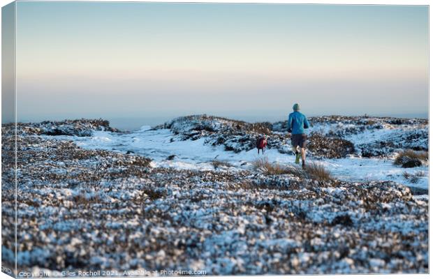 Yorkshire moors winter Canvas Print by Giles Rocholl