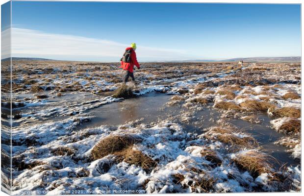 Yorkshire moors winter walking Canvas Print by Giles Rocholl