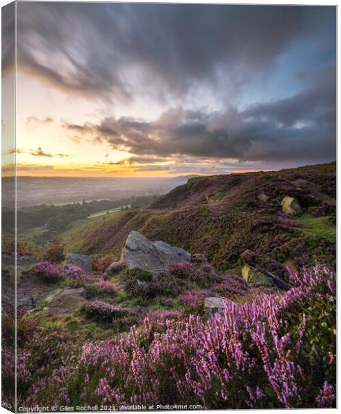 Yorkshire heather moors Canvas Print by Giles Rocholl
