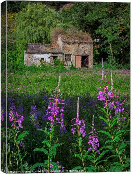 Abandoned house and flowers Yorkshire Canvas Print by Giles Rocholl