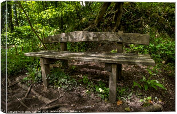 Woodland bench seat Canvas Print by Giles Rocholl