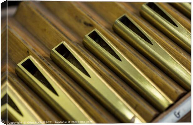 Metal organ pipe reeds Canvas Print by Giles Rocholl