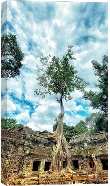 Ta Prohm Temple, Angkor Wat Canvas Print by Arnaud Jacobs