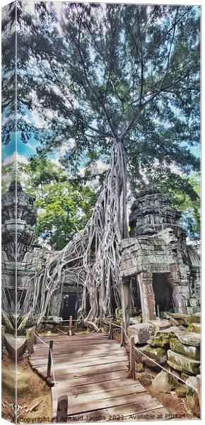 Ta Prohm Temple, Angkor Wat, Cambodia Canvas Print by Arnaud Jacobs