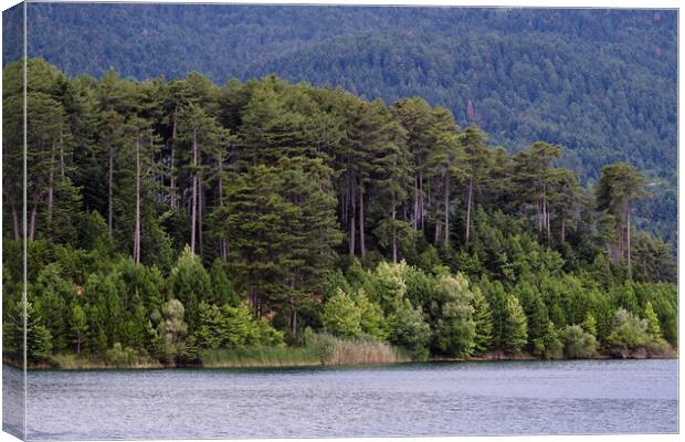 Feneos lake Canvas Print by Dimitrios Paterakis