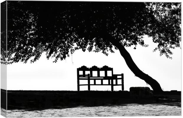The bench under the tree Canvas Print by Dimitrios Paterakis