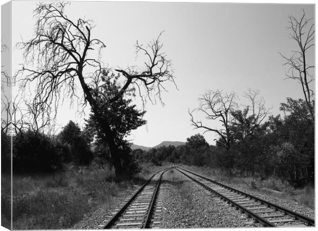 Another Journey Canvas Print by Dimitrios Paterakis