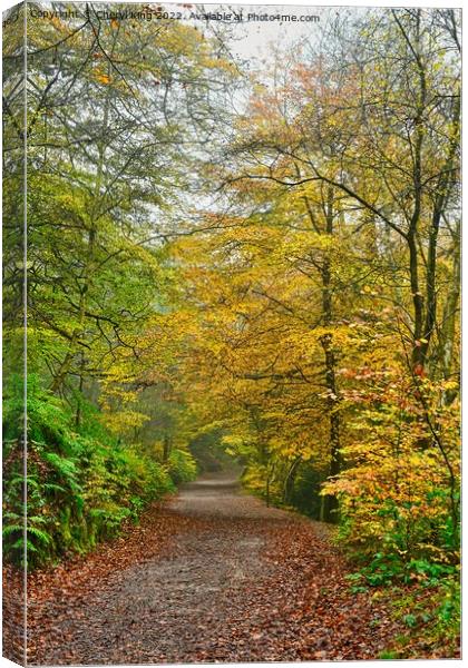 Autumn Dales Canvas Print by Cheryl King