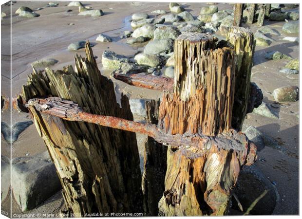Rusty old groyne Canvas Print by Marie Cooke