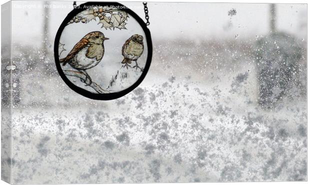 Robin Roundel on a snowy window Canvas Print by Phil Banks