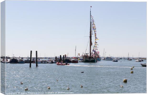 Thames Barge Kitty moored at West Mersea Canvas Print by Elaine Hayward