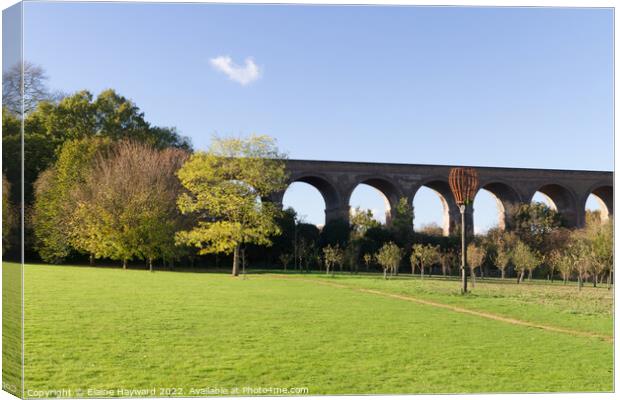 Chappel Viaduct in the Colne Valley, Essex Canvas Print by Elaine Hayward
