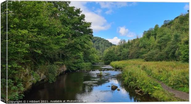 River Wye, Chee Dale Canvas Print by I Hibbert