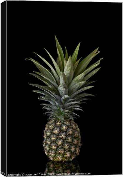 Pineapple Canvas Print by Raymond Evans