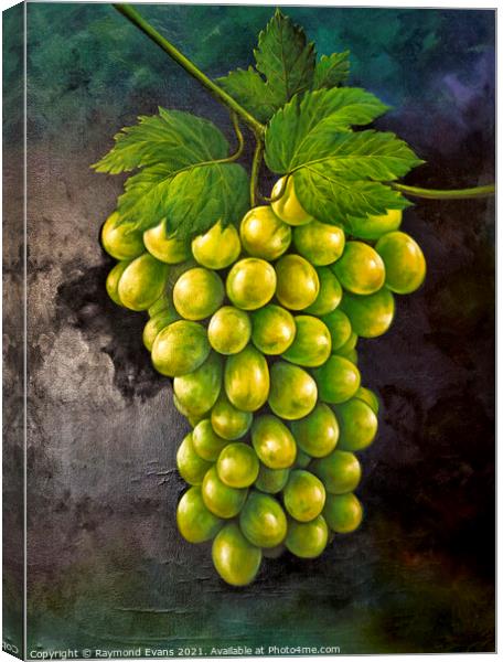 Green grapes Canvas Print by Raymond Evans