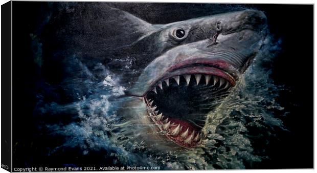 Great White shark Canvas Print by Raymond Evans
