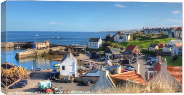 St. Abbs Harbour Canvas Print by Grant Mckane
