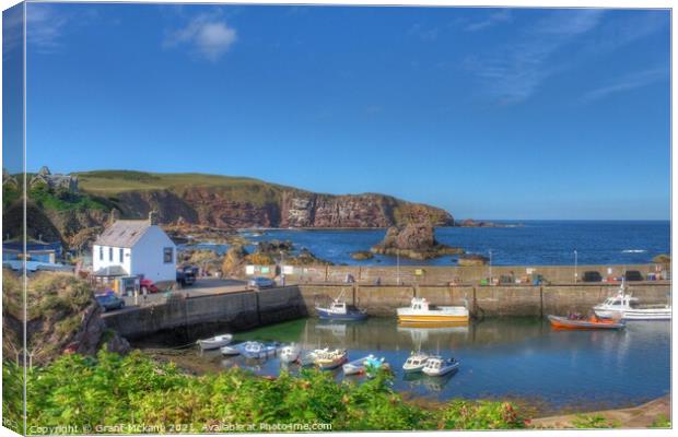 St Abbs Fishing Harbour Canvas Print by Grant Mckane