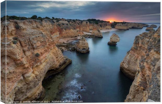 Navy Beach Canvas Print by JORGE FONSECA