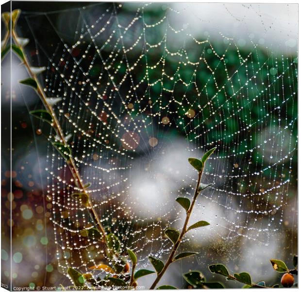 Spider Web Canvas Print by Stuart Wyatt