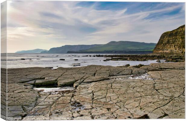 Kimmeridge Ledges Canvas Print by Stuart Wyatt